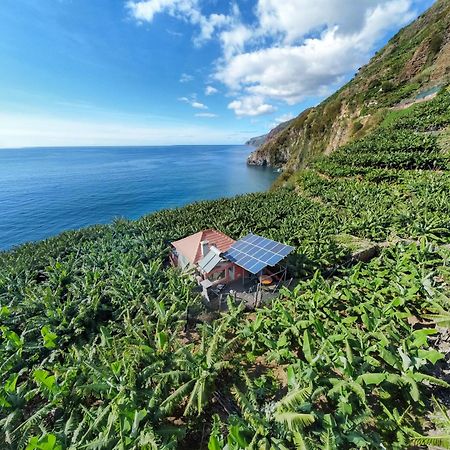 Casa dos Anjos Ponta do Sol (Madeira) Exterior foto