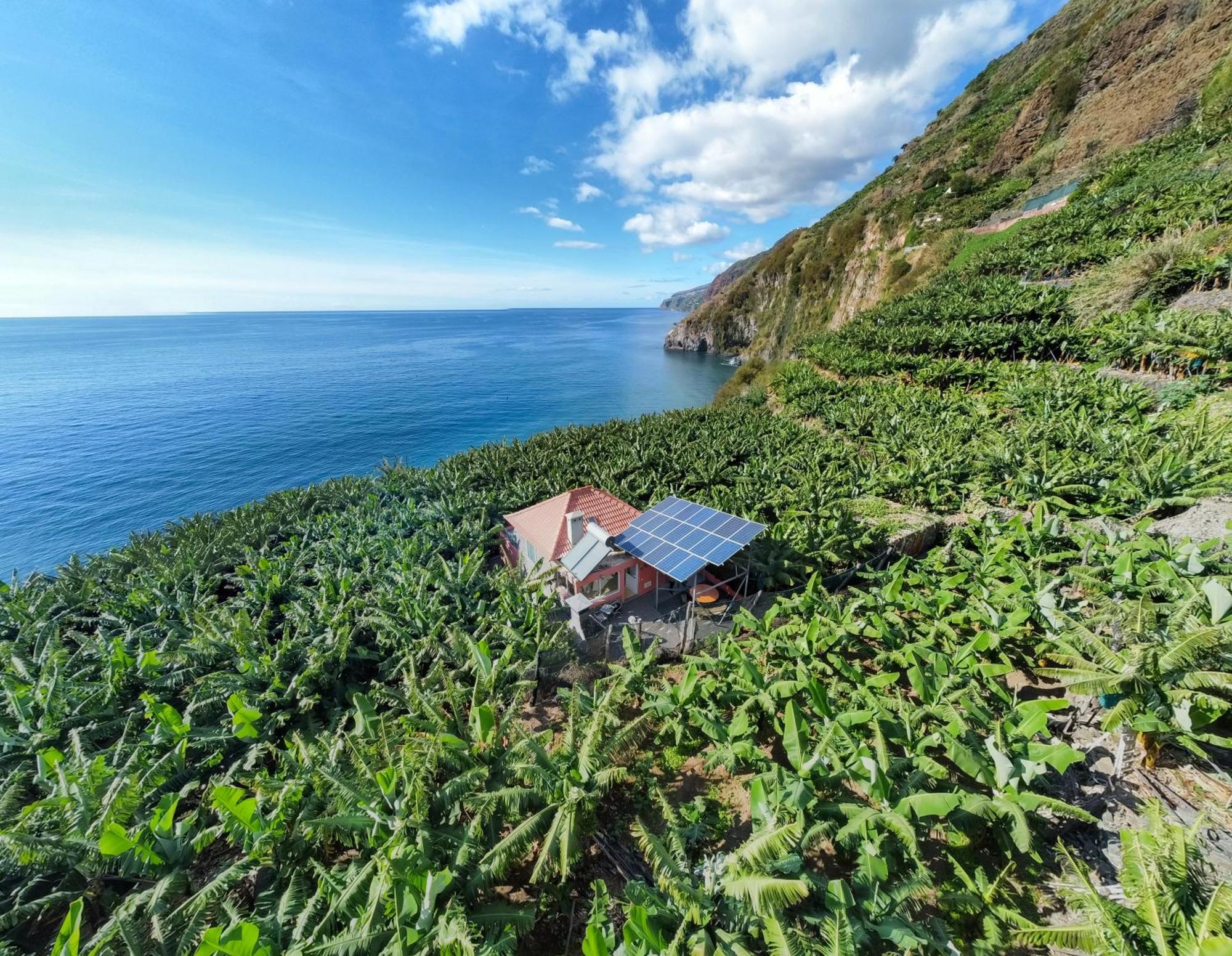 Casa dos Anjos Ponta do Sol (Madeira) Exterior foto
