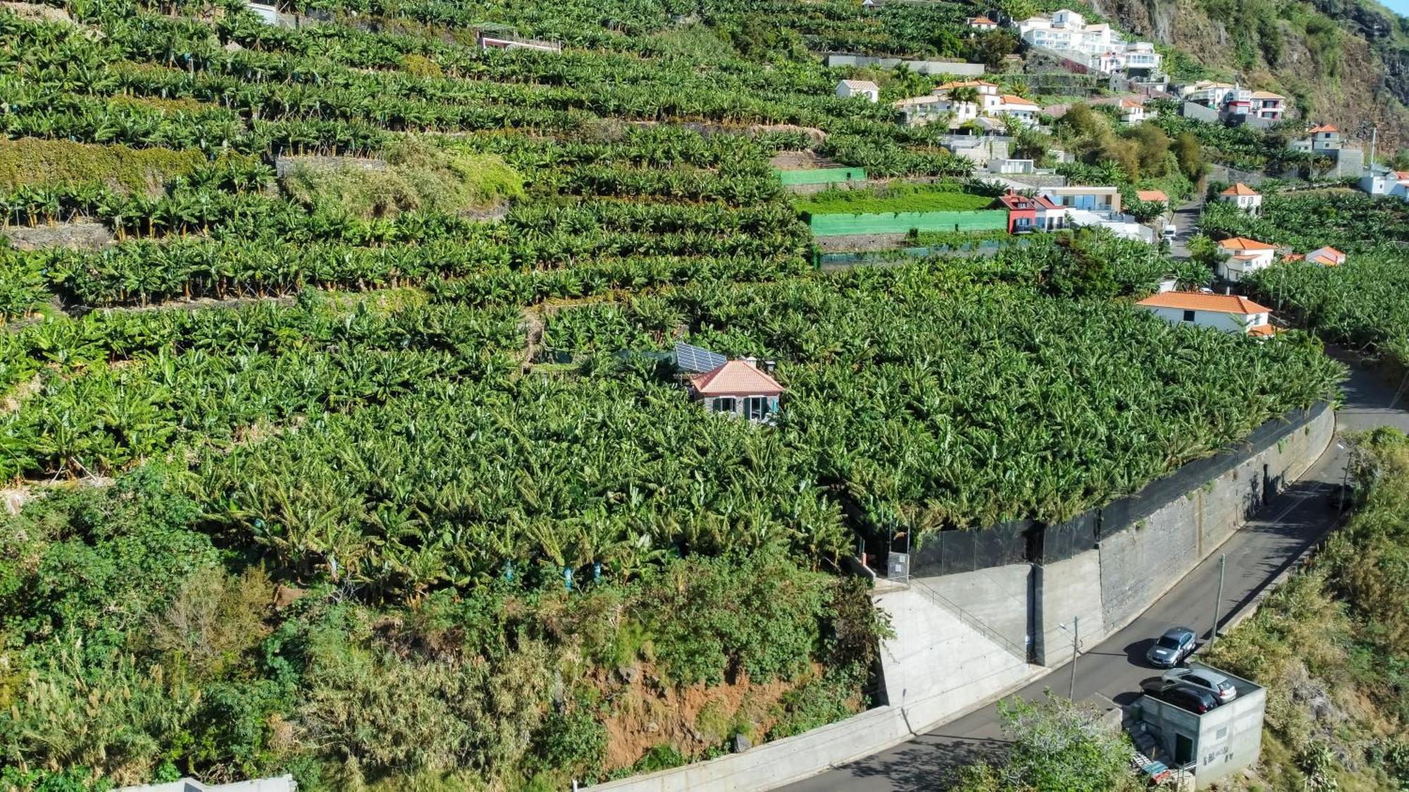 Casa dos Anjos Ponta do Sol (Madeira) Exterior foto