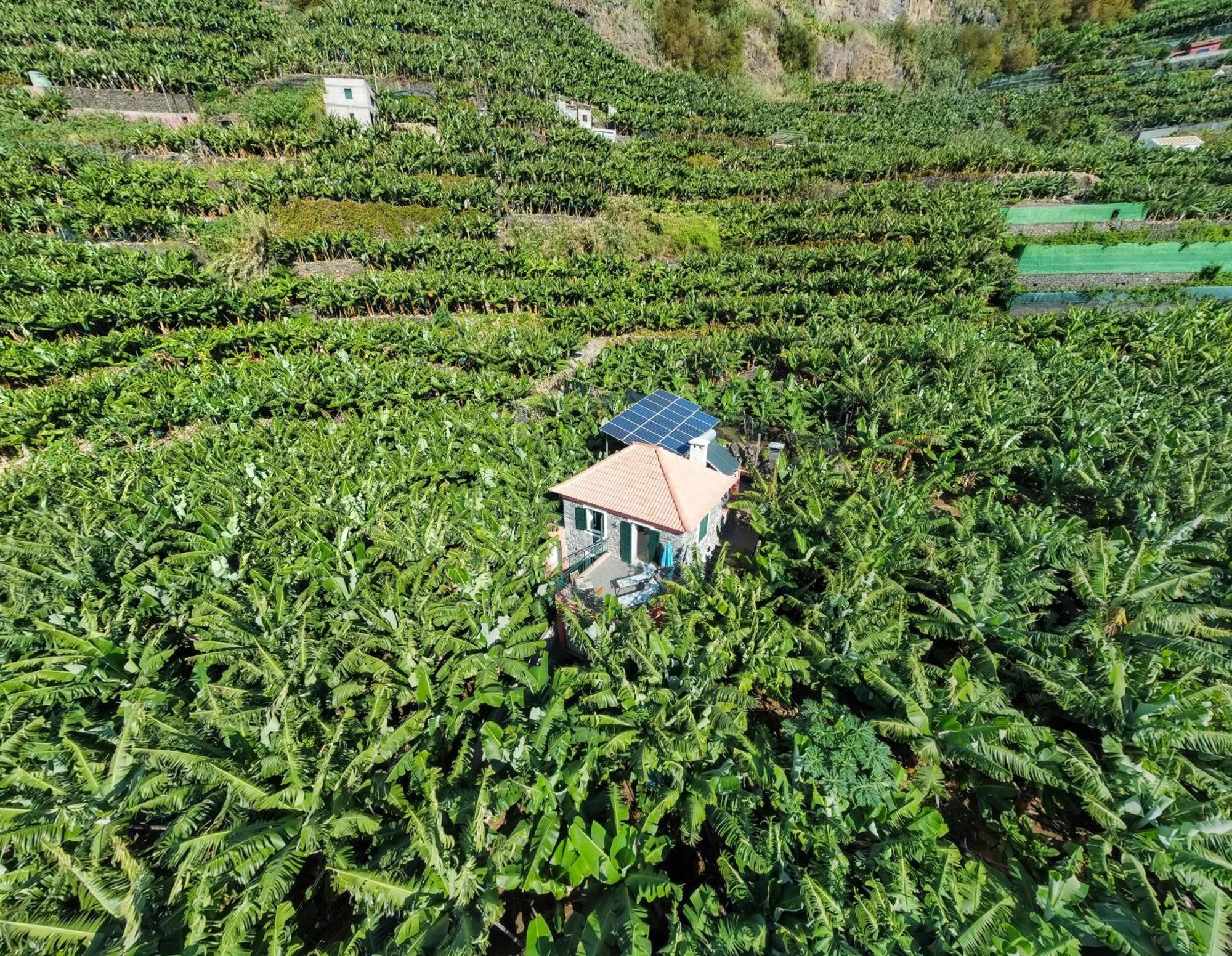 Casa dos Anjos Ponta do Sol (Madeira) Exterior foto